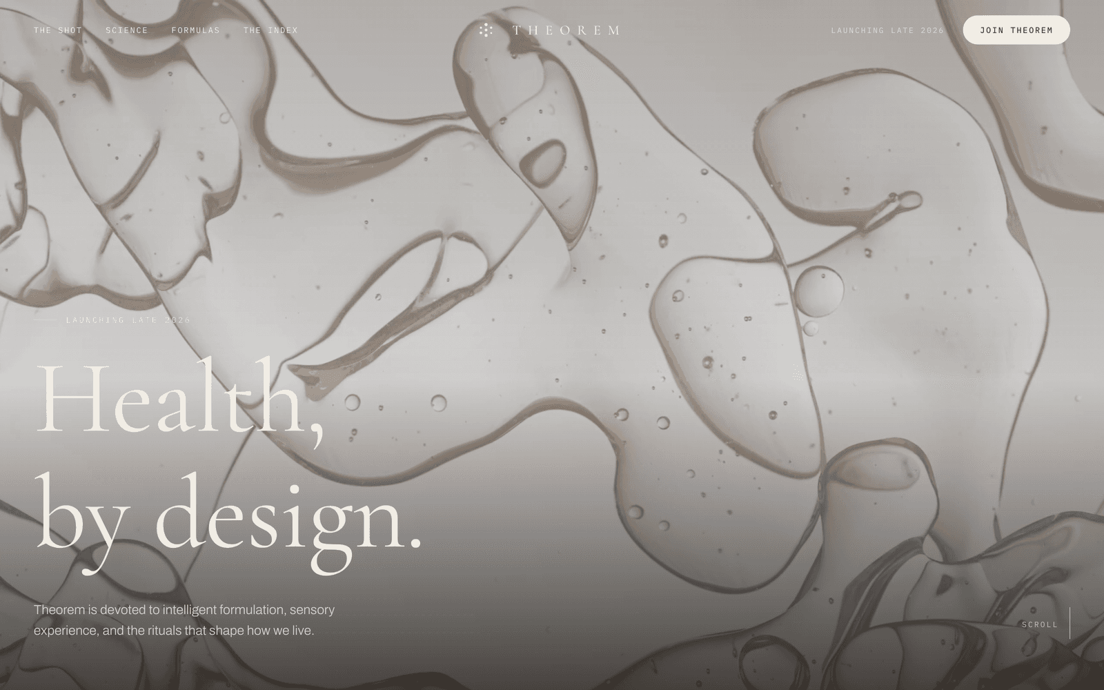 Theorem live project homepage